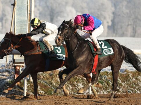 Zielfoto zum Auftakt: Woody Wood setzt sich unter Ricupa knapp durch Woody Wood siegt unter Andrea Ricupa