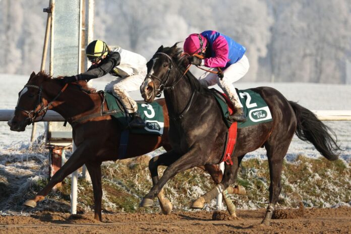 Woody Wood siegt unter Andrea Ricupa