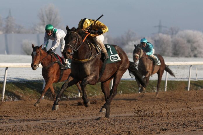 Asaaleeb siegt unter Andrea Ricupa