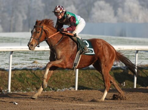 Strahlemann kommt zum ersten Treffer – Emotionaler Overbeck-Sieg Strahlemann siegt unter Michaela Malacova