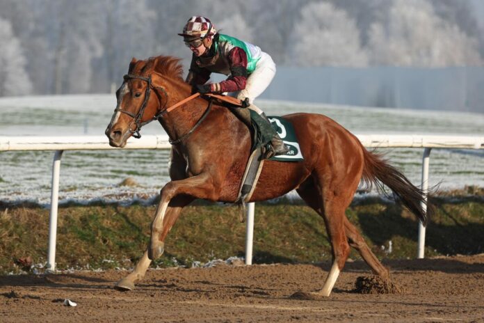 Strahlemann siegt unter Michaela Malacova