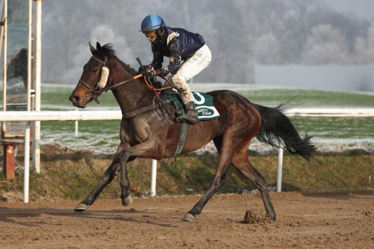 Der Champion hat gezaubert – Hammer-Hansen siegt mit Yiengaa