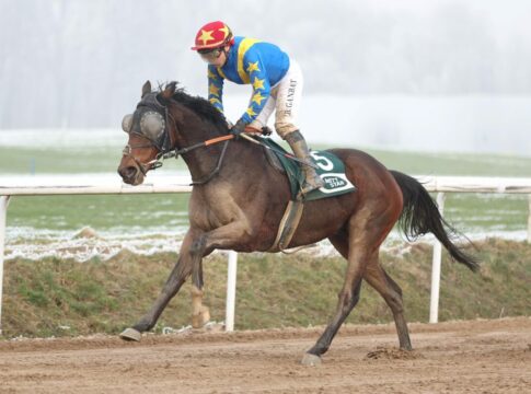 Auch Stay First probt erfolgreich für St. Moritz – Smrczek mit zweitem Urlaubstreffer Stay First siegt unter Bayarsaikhan Ganbat