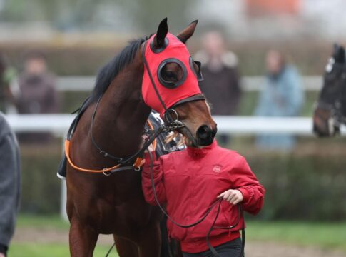 Erster Auslandssieg ist da! Rohnes Duesseldorfer schlägt Grewe-Favoritin Duesseldorfer