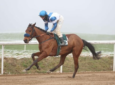 True and Quick siegt im Nebel – Erster Grewe-Sieg in Deutschland True And Quick siegt unter Leon Wolff