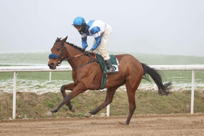 True And Quick siegt unter Leon Wolff