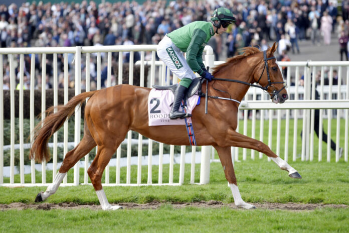 Aintree, Intellotto with James Slevin