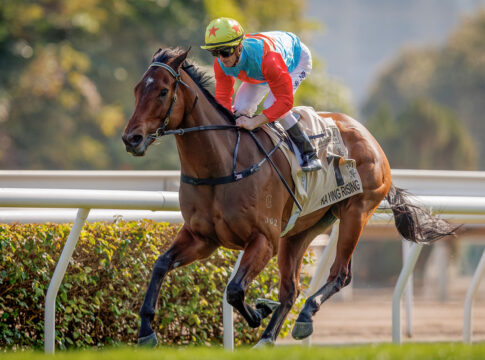 Ka Ying Rising hat Startplatz im The Everest sicher Ka Ying Rising (Archiv) gewinnt den Centenary Sprint Cup Foto: hkjc.com