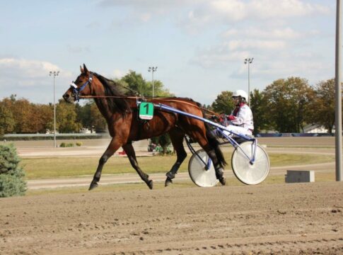 Vom Trab in den Galopp – Lea Holtermann nun Besitzerin bei den Galoppern Lea Holtermann