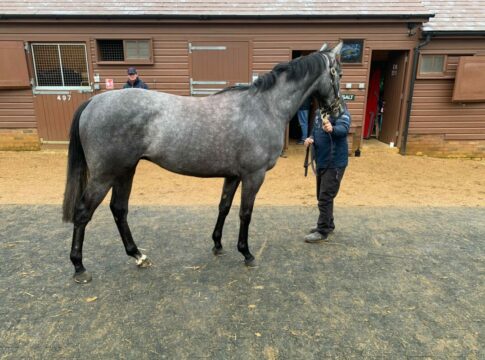 Deutsche Newmarket-Käufe auch am zweiten Tag M-B-A Racing