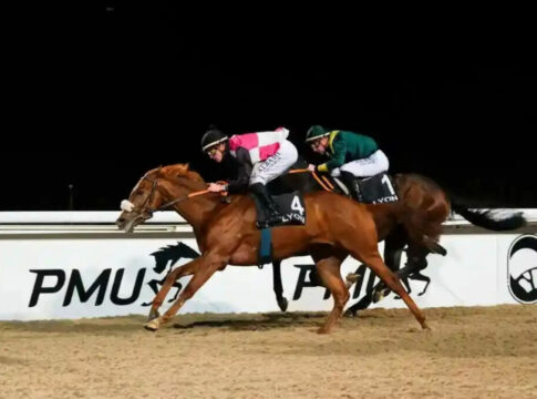 Rohnes Nearco Frod wechselt nach Australien Nearco Frod