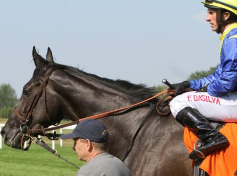 Schlenderhan bietet North Sun bei der Arqana Online-Auktion an North Sun im Jahr 2015