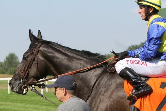 North Sun im Jahr 2015 North Sun im Jahr 2015