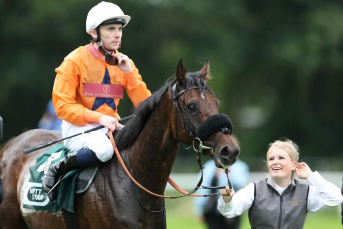 Prydwen siegt unter Callum Shepherd im WETTSTAR.de 140. Deutsches St. Leger - Gr.3