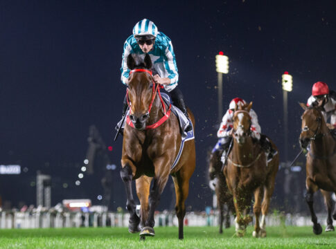 Dubai Turf - Kaum ein Gegner für Romantic Warrior in Sicht Romantic Warrior gewinnt das Jebel Hatta Foto: hkjc.com