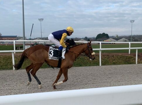 Sapristi kann doch gewinnen – Stute mit erstem Sieg für Pietsch Sapristi