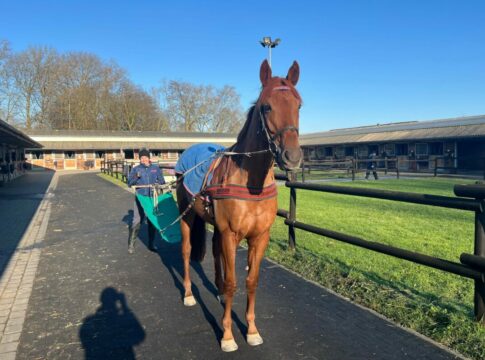 Sechs deutsche Pferde für St.Moritz-Auftakt gennant Schael und Valeria Schiergen bei der Vorbereitung für St. Moritz
