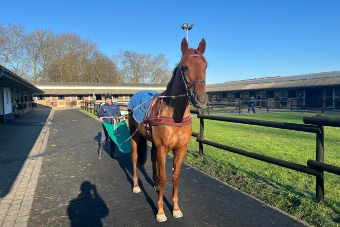 Schael und Valeria Schiergen bei der Vorbereitung für St. Moritz Schael und Valeria Schiergen bei der Vorbereitung für St. Moritz