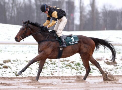 Nächster Favoritensieg: Auch Aurum Sky siegt in Wambel Aurum Sky