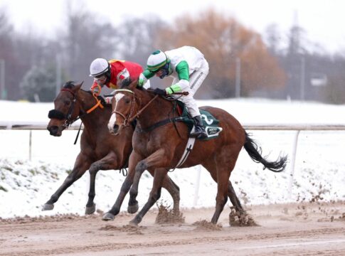 Mist of Lir auch beim zweiten Start für Angermann nicht zu schlagen Mist Of Lir siegt
