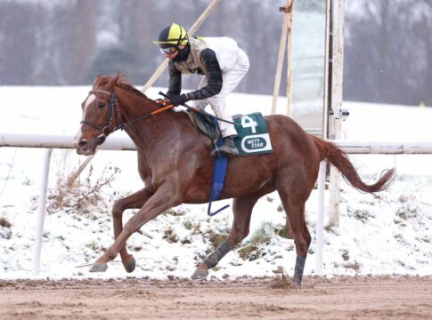 Sehenswerter Auftakt in Dortmund: Fast wie in alten (Grand Prix-) Zeiten Primo Violetto