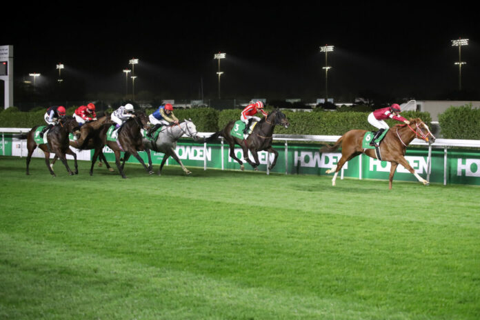 Shin Emperor with Ryusei Sakai up wins the Neom Turf Cup