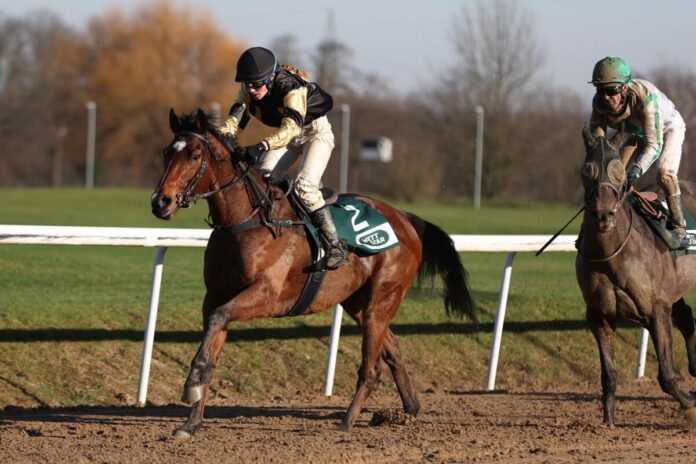 Aurum Sky siegt unter Patricia Tepper