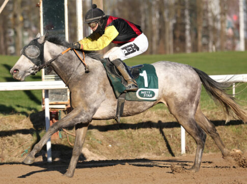 Darling Jay trotzt der Rechnung und siegt erstmals auf Sand Darling Jay siegt unter Thore hammer-Hansen