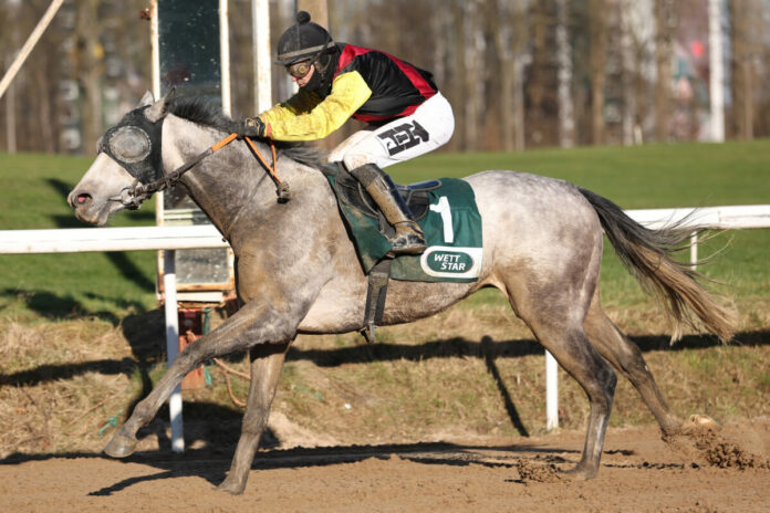 Darling Jay siegt unter Thore hammer-Hansen