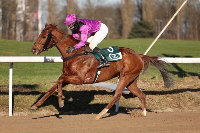 Energy Dragon siegt unter Janina Bojsen