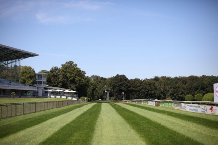 Die Grasbahn in Düsseldorf (Archiv) Die Grasbahn in Düsseldorf (Archiv)