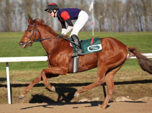 "Gamble" Hamilton siegt bei Sand- und Handicapdebüt Hamilton