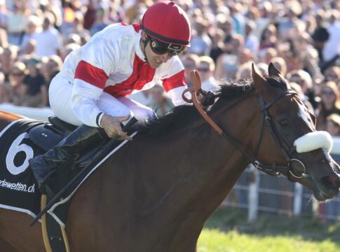 Gruppe I-Siegerin India brachte erstes Fohlen zur Welt India siegt unter Rene Piechulek im 61. Großer Preis von Europa, Gr.1