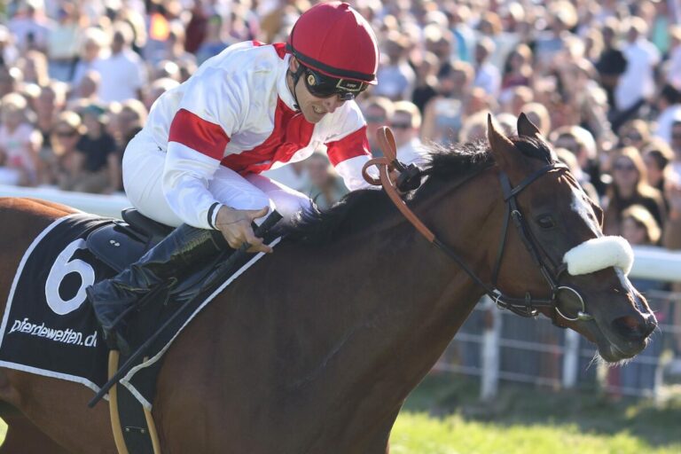 Gruppe I-Siegerin India brachte erstes Fohlen zur Welt