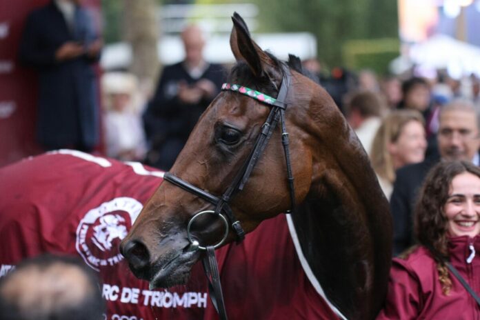 Bluestocking siegt unter Rossa Ryan im Qatar Prix de l'Arc de Triomphe, Gr.1