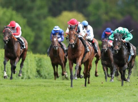 Fünf Renntage im Krefelder Stadtwald – Start mit Dr. Busch-Memorial Maigret