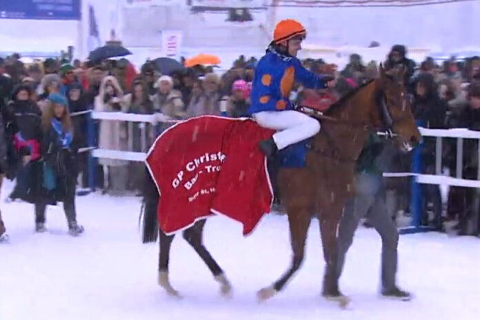 Rogue Spirit Foto: Screenshot/White Turf Rogue Spirit Foto: Screenshot/White Turf