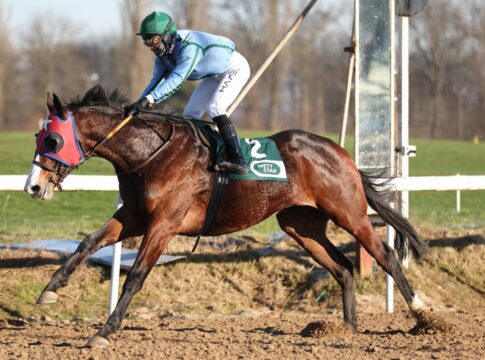 Stern Markka mit gelungener St. Moritz-Generalprobe Stern Markka siegt unter Michal Abik