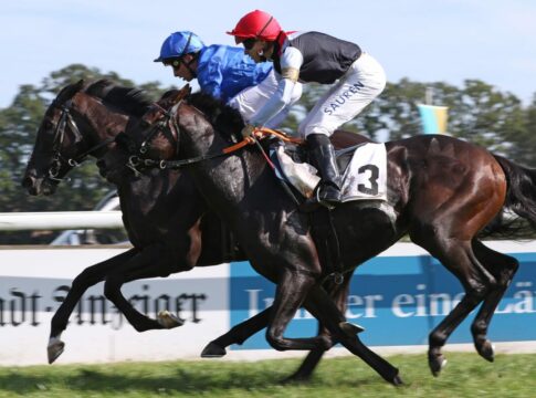 Mögliche Felder für World Cup Night veröffentlicht Straight (Nr.3)