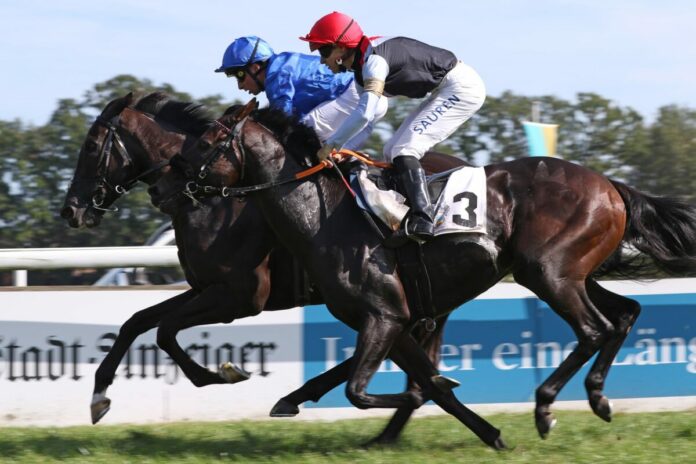 Straight (Nr.3) Straight (Nr.3)