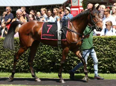 Endlich wieder True Tedesco - Suborics-Schützling siegt True Tedesco