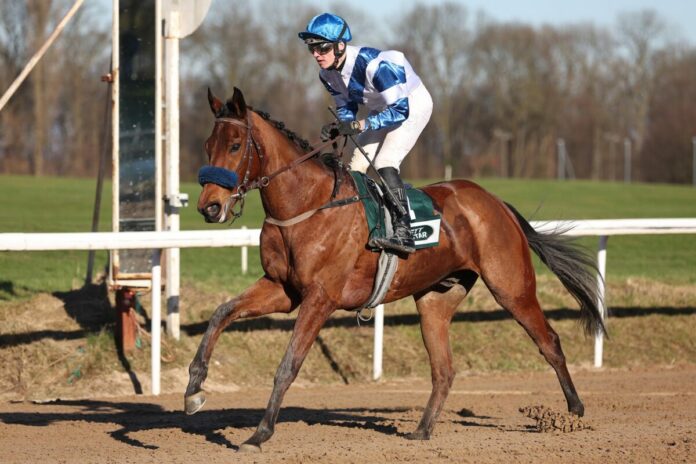 True and Quick True and Quick