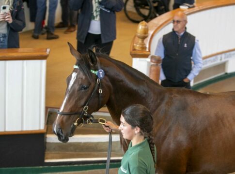 Auch Alpinistas 2,5 Millionen-Schwester bekommt einen Al-Namen Alpinara