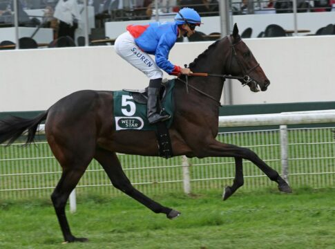 Noch sieben Kandidaten für den Mehl-Mülhens-Stiftung - 63. Preis von Europa Think Giant