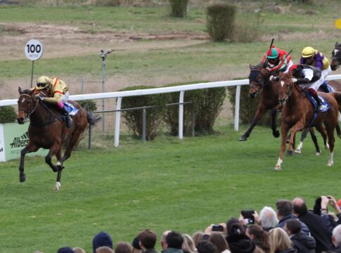 Amely Adventure eröffnet die Saison in Mannheim Amely Adventure siegt unter Bertrand Flandrin