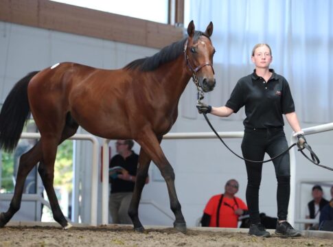 Aquaman (Kat.-No. 201)