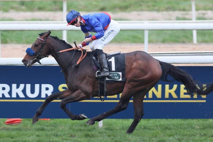 Assistent siegt unter Thore Hammer-Hansen im Grand Prix Aufgalopp 2024, L.