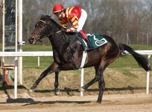 20 Jahre nach Sauer-Sieg im Boxsport-Rennen haut Best Lightning alle K.O. Best Lightning siegt unter Michaela Malacova