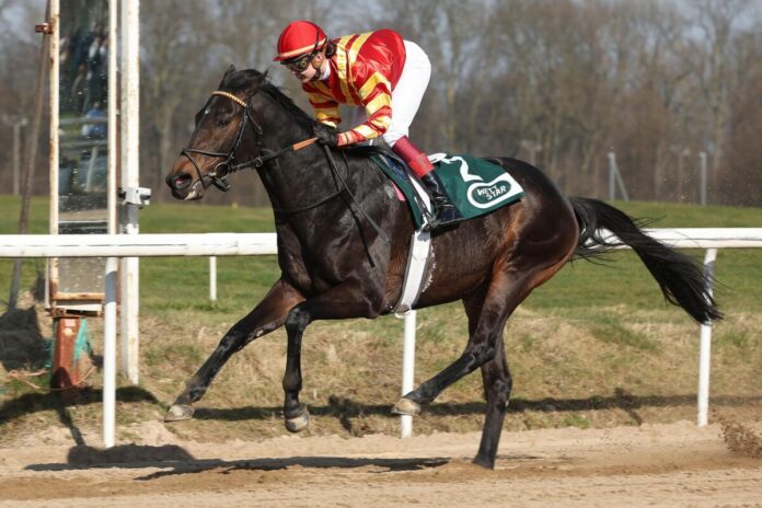 Best Lightning siegt unter Michaela Malacova