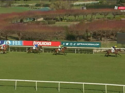 Stuten mit Diana-Nennung machen auf sich aufmerksam Audubon Park, Kiamba, Soccer Sister